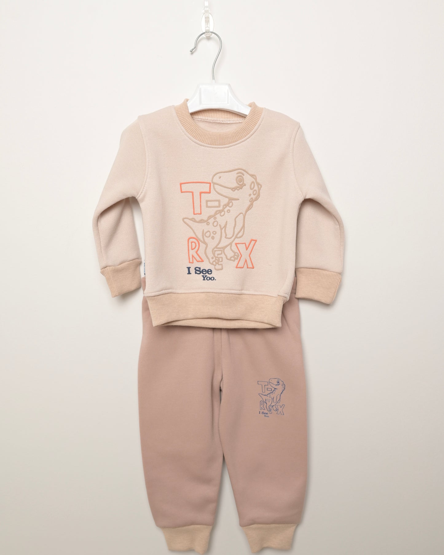 Crew Neck T-Rex Boys' Sweatshirt And Sweatpants