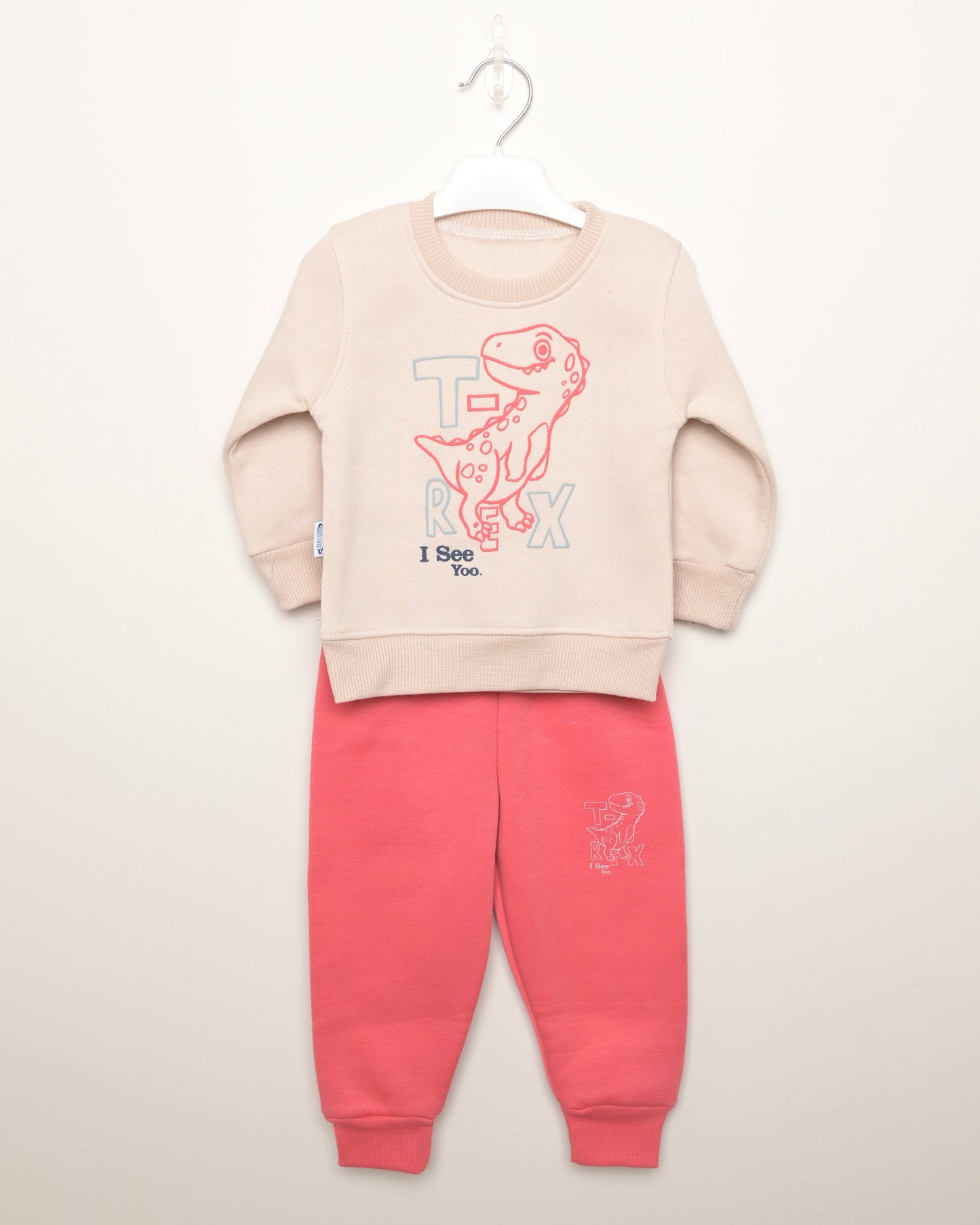 Crew Neck T-Rex Boys' Sweatshirt And Sweatpants