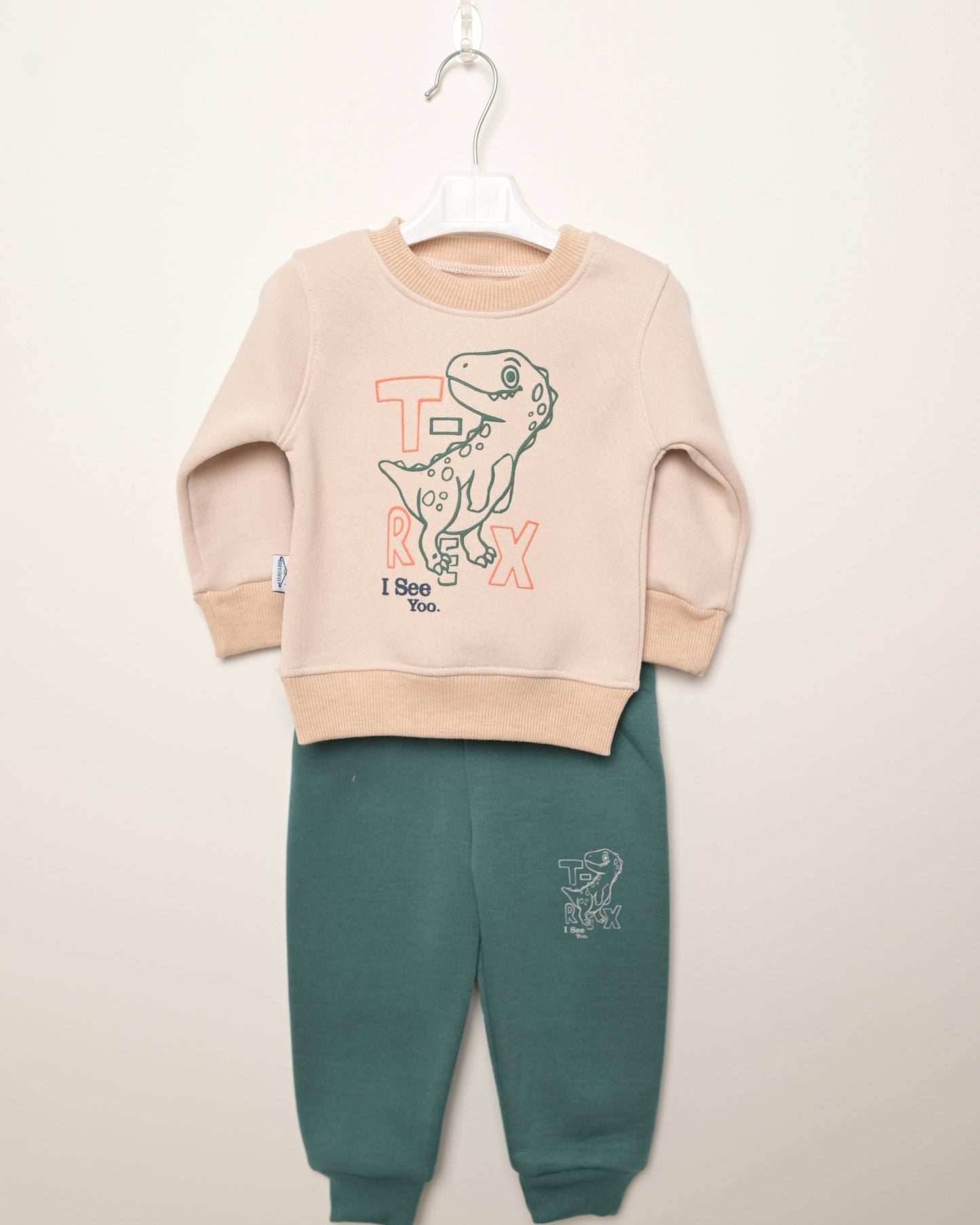 Crew Neck T-Rex Boys' Sweatshirt And Sweatpants