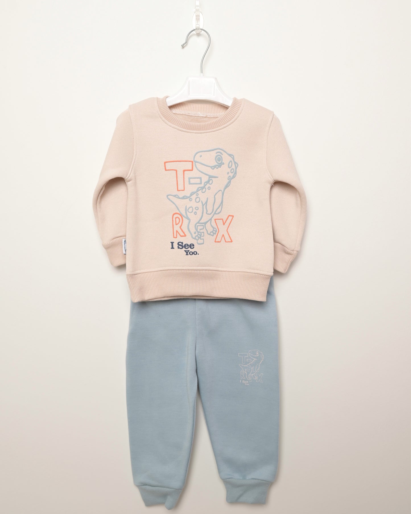Crew Neck T-Rex Boys' Sweatshirt And Sweatpants