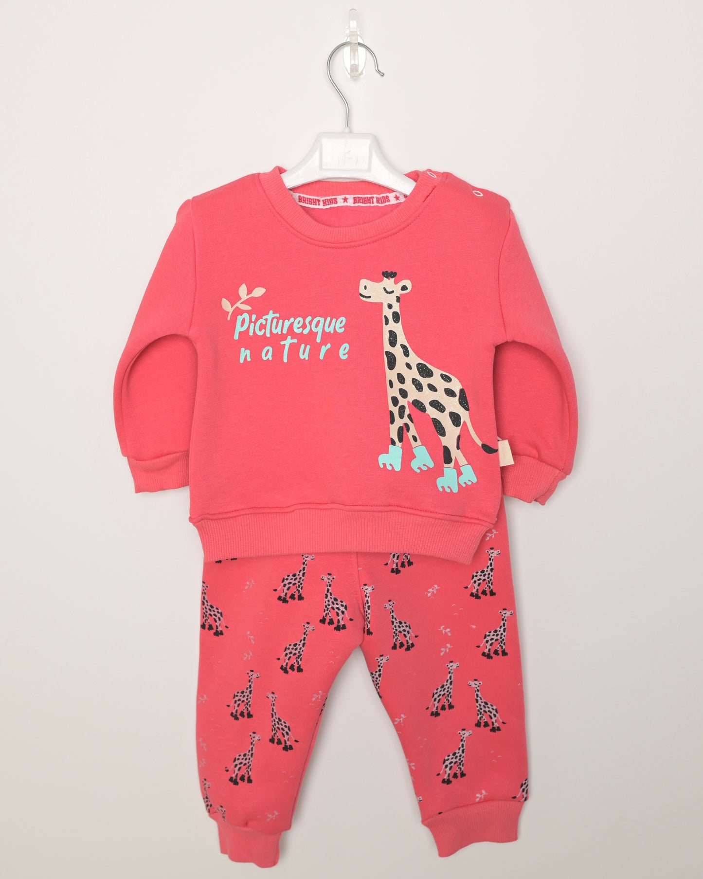 Cute giraffe set