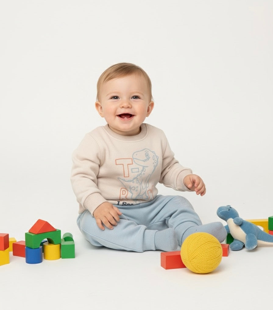 Crew Neck T-Rex Boys' Sweatshirt And Sweatpants